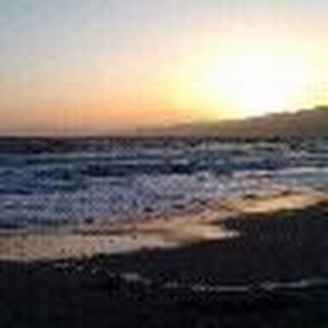 Meet your Posher, Edith